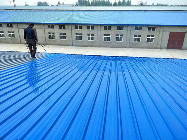 梁子湖 彩钢瓦喷漆翻新工业厂房、仓库